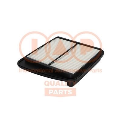 IAP 121-16057 Air filter 12116057