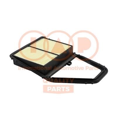 IAP 121-06116 Air filter 12106116