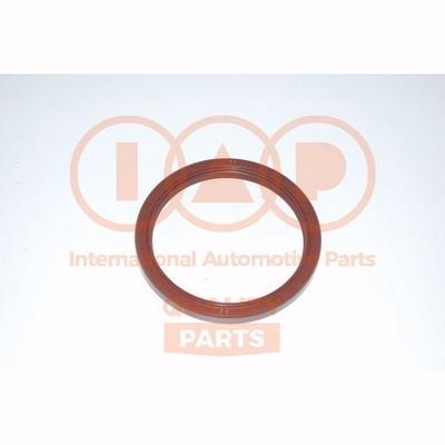 IAP 135-12010 Crankshaft oil seal 13512010
