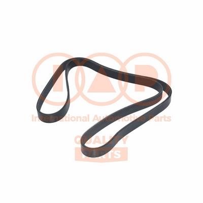 IAP 140-06060 V-Ribbed Belt 14006060