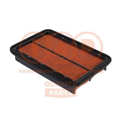 IAP 121-11055 Air filter 12111055