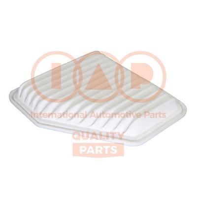 IAP 121-17055 Air filter 12117055