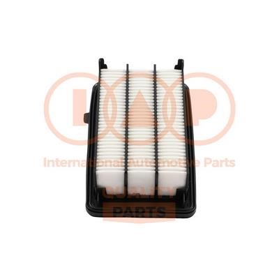 IAP 121-06067 Air filter 12106067