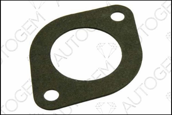 AutoGem CEG139 Exhaust pipe gasket CEG139