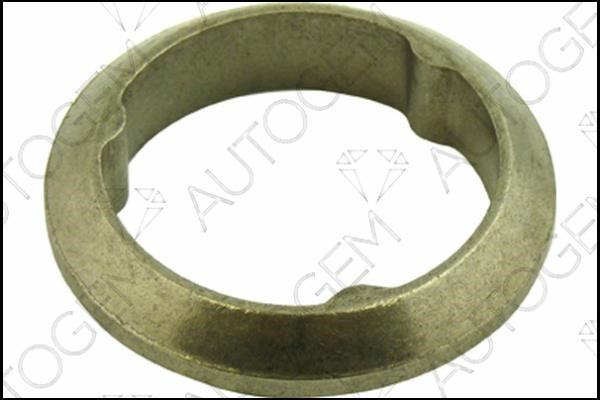 AutoGem CEG148 Exhaust pipe gasket CEG148