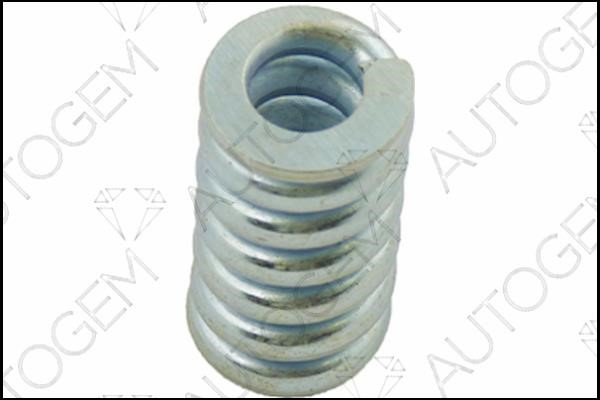 AutoGem CSC231 Exhaust pipe spring CSC231