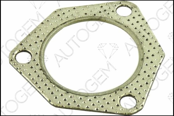 AutoGem CEG116 Exhaust pipe gasket CEG116