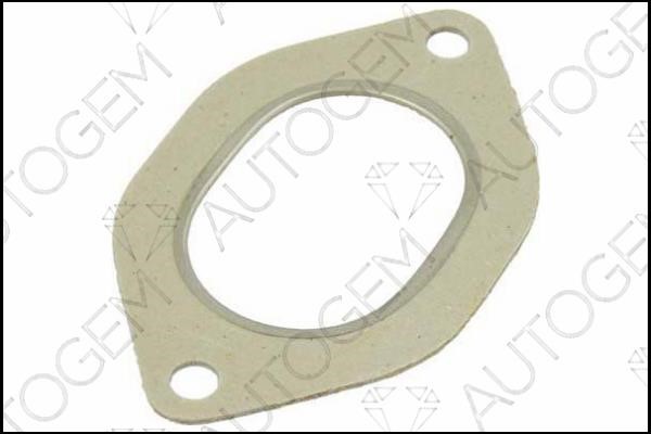 AutoGem CEG541 Exhaust pipe gasket CEG541