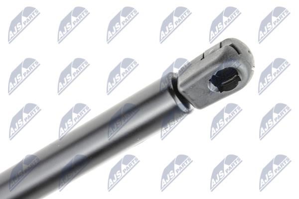 Tailgate strut NTY AE-AR-023