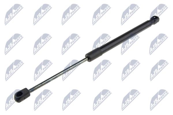 NTY AE-FR-049 Gas spring AEFR049