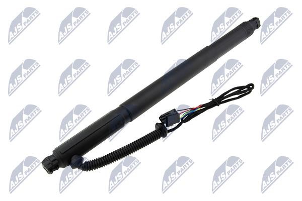 Gas struts BMW: AEBM076 NTY Tailgate strut