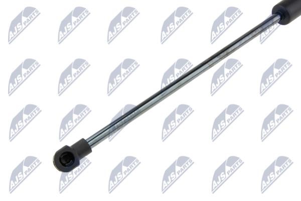 Tailgate strut NTY AE-ME-053