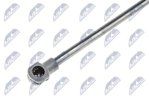 Tailgate strut NTY AE-NS-019
