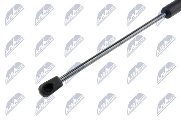 Tailgate strut NTY AE-ME-057