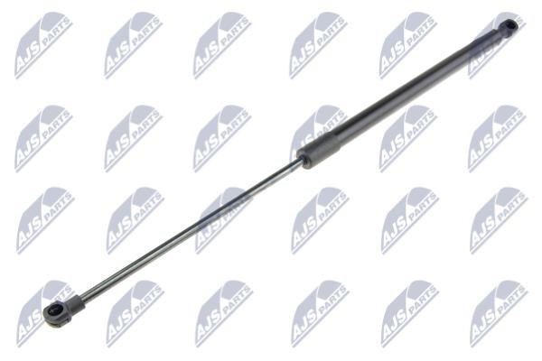 AETY024 NTY Tailgate strut
