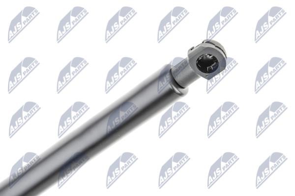 Tailgate strut NTY AE-TY-024