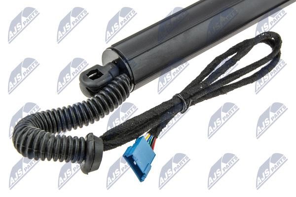 Tailgate strut NTY AE-BM-081