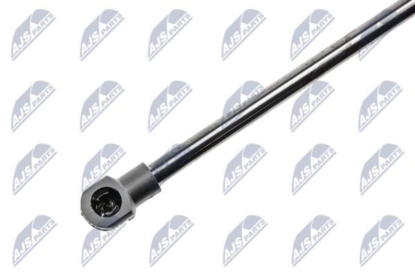 Tailgate strut NTY AE-TY-025