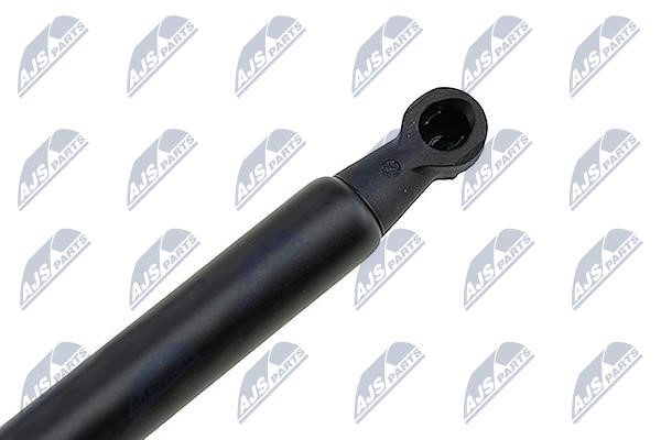 Hood shock absorber NTY AE-BM-062