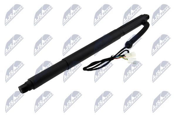 AEBM077 NTY Tailgate strut