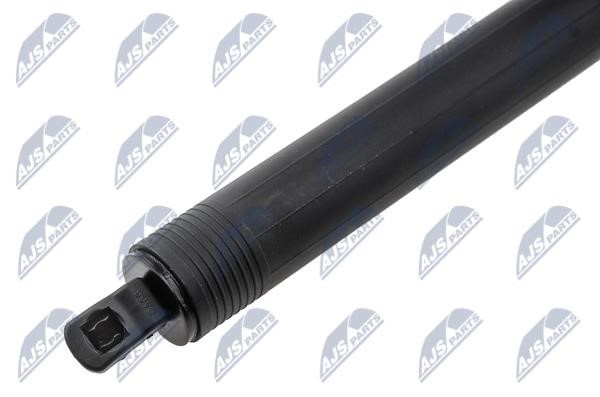 Tailgate strut NTY AE-PS-003