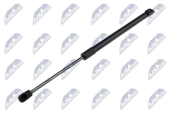 Boot gas struts Hyundai i10: AEHY032 NTY Tailgate strut