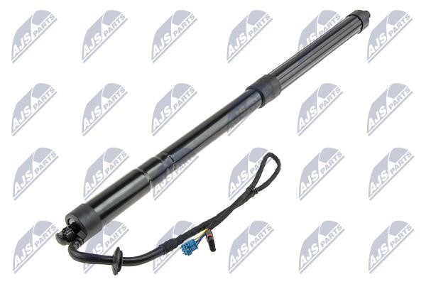 AEPS000 NTY Tailgate strut