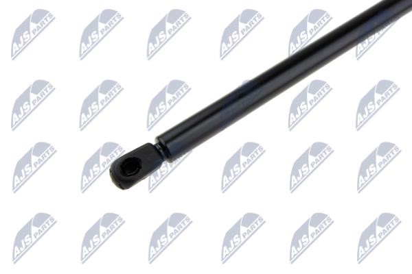 Tailgate strut NTY AE-BM-066