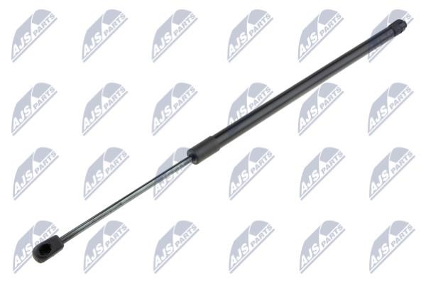 NTY AE-BM-066 Tailgate strut AEBM066 AEBM066 NTY Tailgate strut