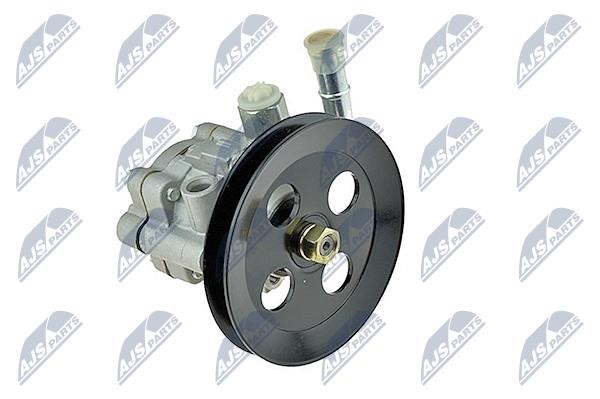 SPWNS018 NTY Hydraulic Pump, steering system