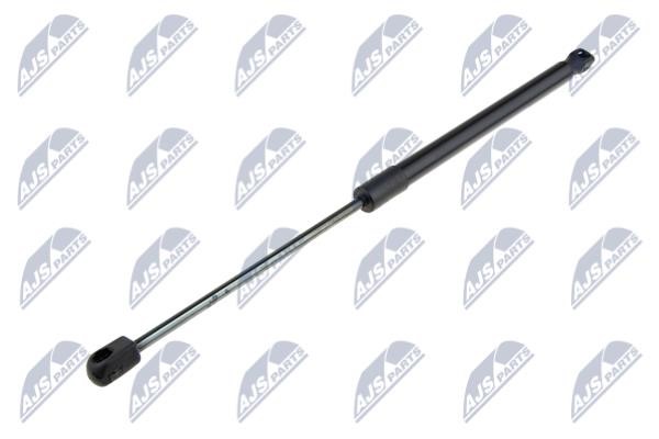 AEHY036 NTY Gas spring