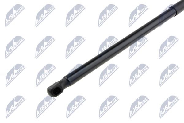 Tailgate strut NTY AE-ME-060