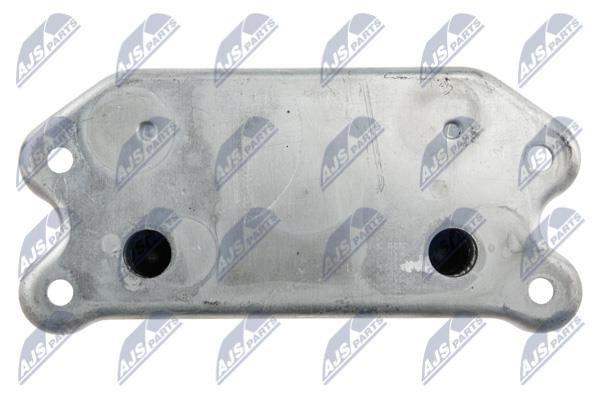 Buy NTY CCL-VV-003 at a low price in United Arab Emirates!