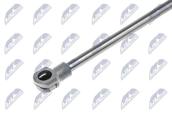 Tailgate strut NTY AE-DW-017