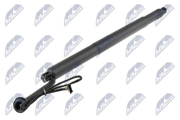 Gas struts BMW X6: AEBM078 NTY Tailgate strut