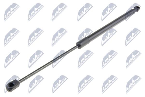 NTY AE-HY-037 Tailgate strut AEHY037 AEHY037 NTY Tailgate strut