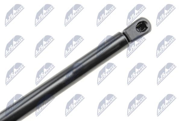 Tailgate strut NTY AE-AU-081