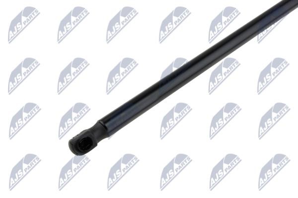 Tailgate strut NTY AE-FR-062