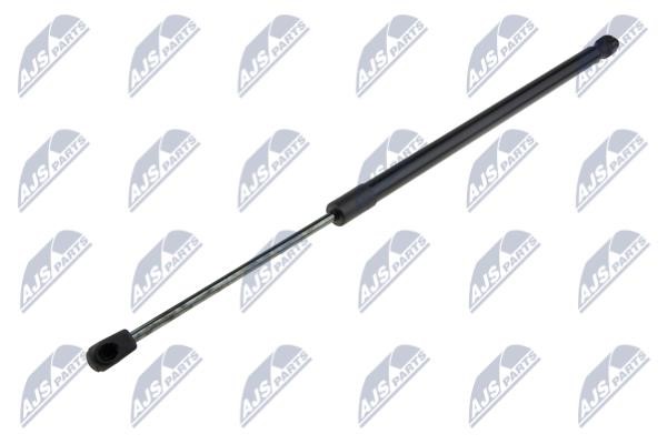 AEFR062 NTY Tailgate strut