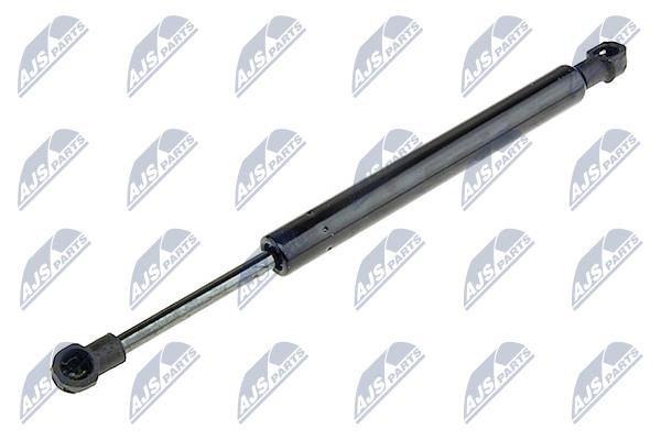 NTY AE-BM-063 Tailgate strut AEBM063 AEBM063 NTY Tailgate strut