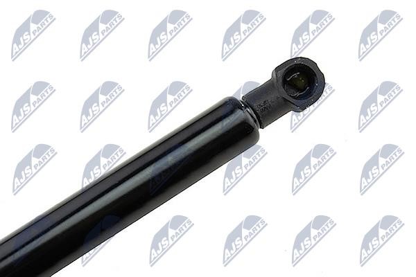 Tailgate strut NTY AE-BM-063