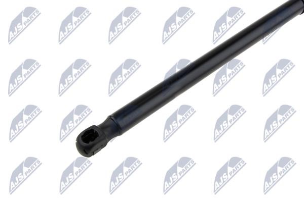 Tailgate strut NTY AE-CT-045