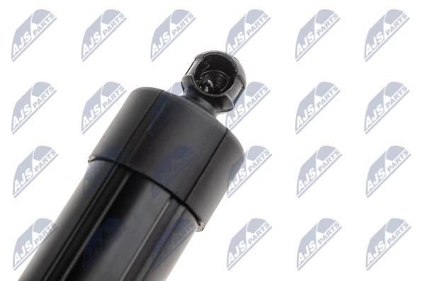 Tailgate strut NTY AE-PS-002