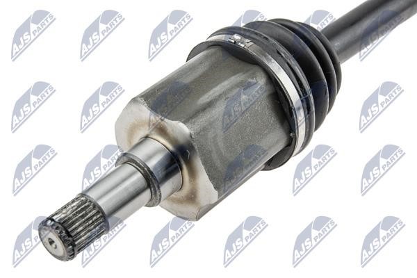 Buy NTY NPW-FR-117 at a low price in United Arab Emirates!