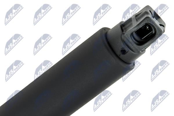 Tailgate strut NTY AE-BM-072