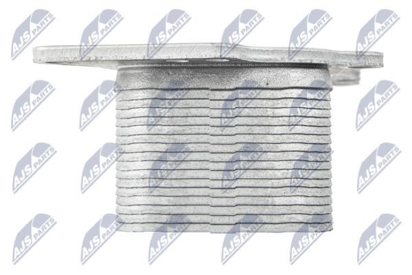 Buy NTY CCL-BM-021 at a low price in United Arab Emirates!