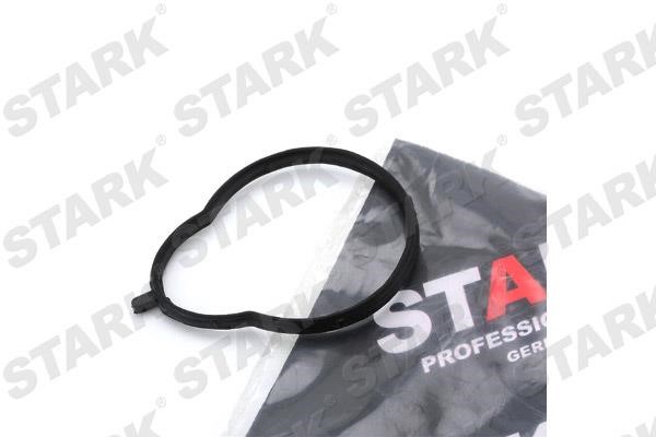 Stark SKGI-0710061 Gasket, intake manifold SKGI0710061