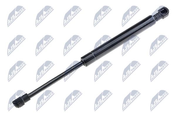 NTY AE-AR-017 Gas spring AEAR017