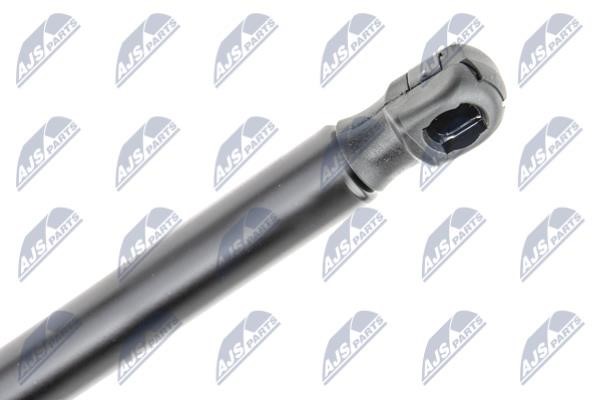 Tailgate strut NTY AE-PL-062