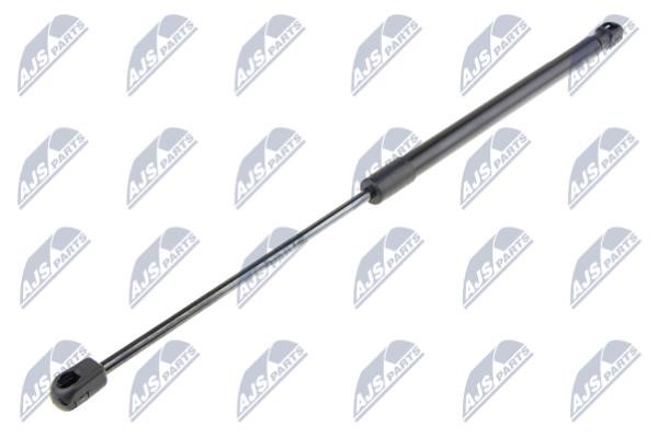 AEPL062 NTY Tailgate strut